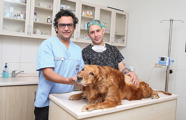 Evcil hayvan bakımı