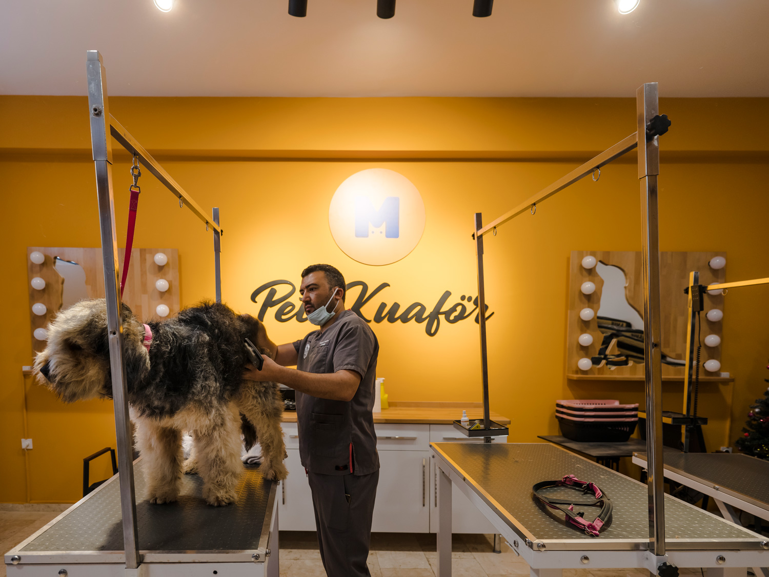 PET KUAFÖR & GROOMING